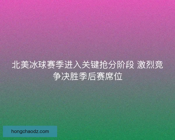 北美冰球赛季进入关键抢分阶段 激烈竞争决胜季后赛席位